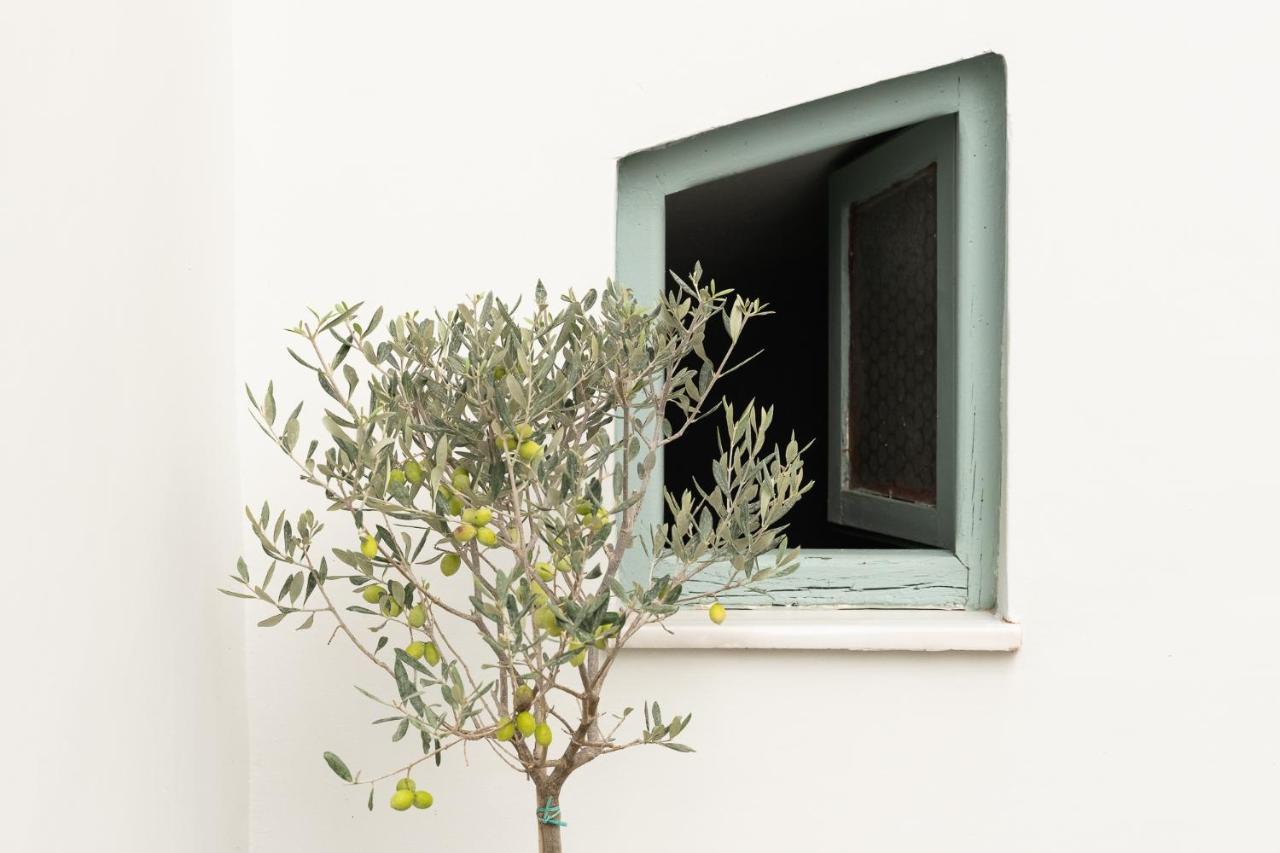 Central5 Boutique Apartments With Common Garden Next To Metro Афіни Екстер'єр фото